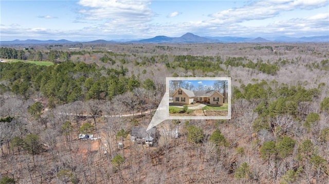 birds eye view of property with a mountain view and a view of trees