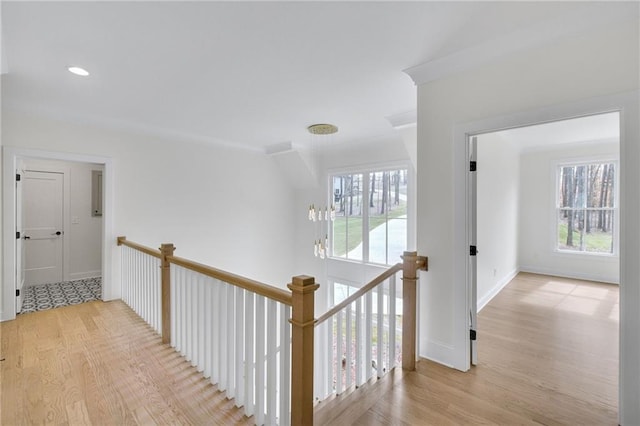 hallway with a wealth of natural light and light hardwood / wood-style flooring