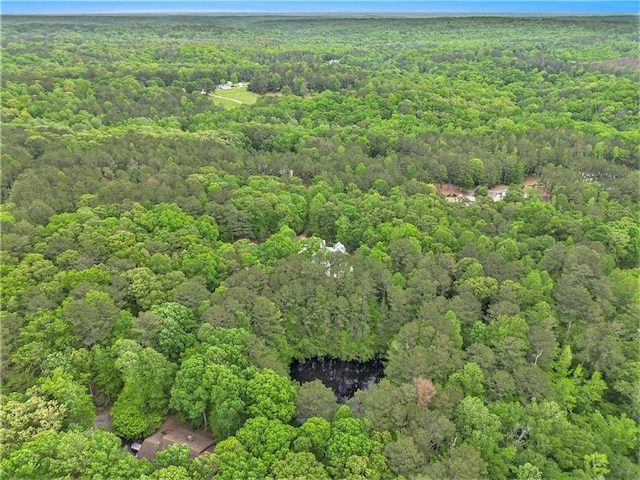 8901 Watkins Mill Rd, Winston, GA 30187 - aerial view of property and surrounding area with a heavily wooded area
