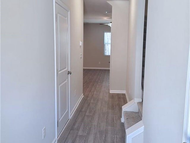 hall featuring dark hardwood / wood-style flooring