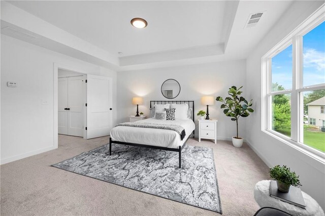 150 Chandler Trce, Covington, GA 30016 - bedroom with light colored carpet, a raised ceiling, and baseboards