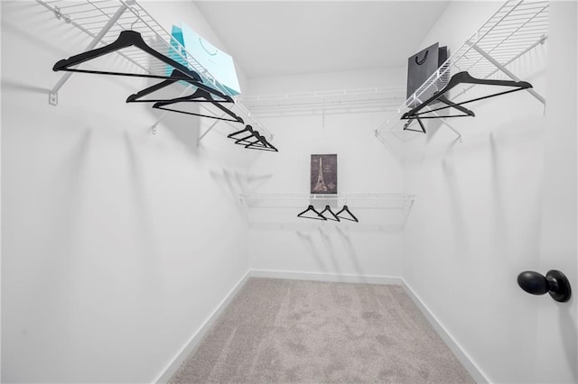 150 Chandler Trce, Covington, GA 30016 - walk in closet featuring carpet