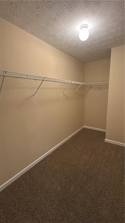 walk in closet with dark carpet