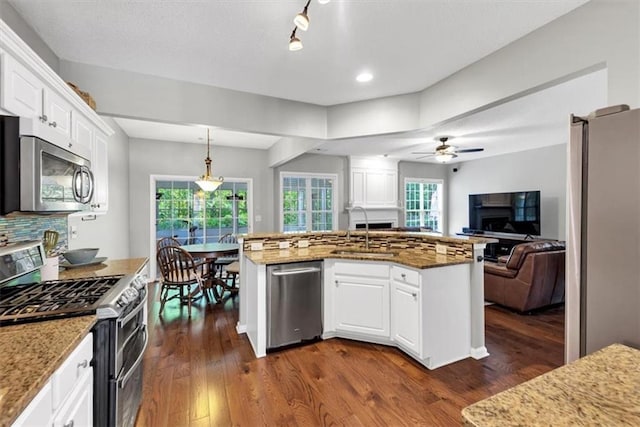 kitchen featuring a sink, white cabinetry, dark wood-style floors, and stainless steel appliances