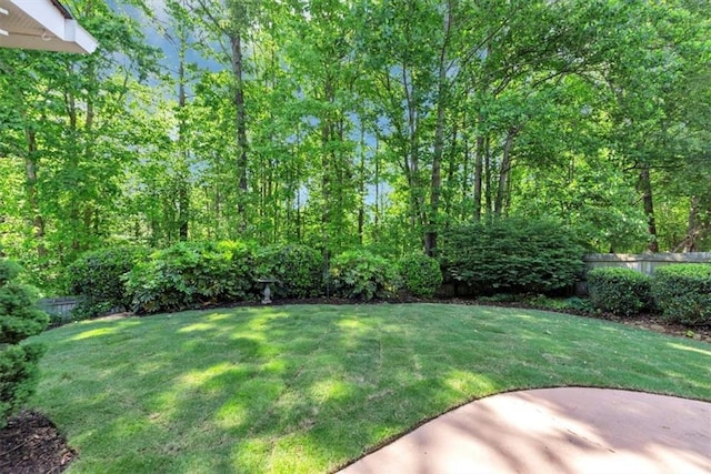 view of yard