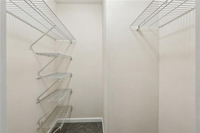 spacious closet featuring carpet flooring