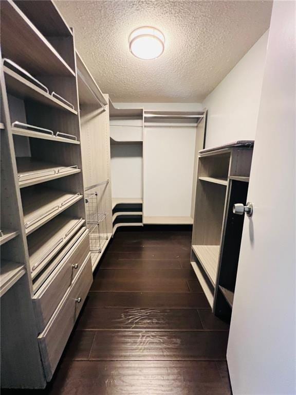 3432 Ivys Walk, Atlanta, GA 30340 - spacious closet with dark wood finished floors