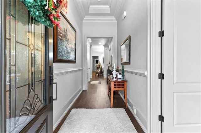 hallway with dark hardwood / wood-style floors and crown molding