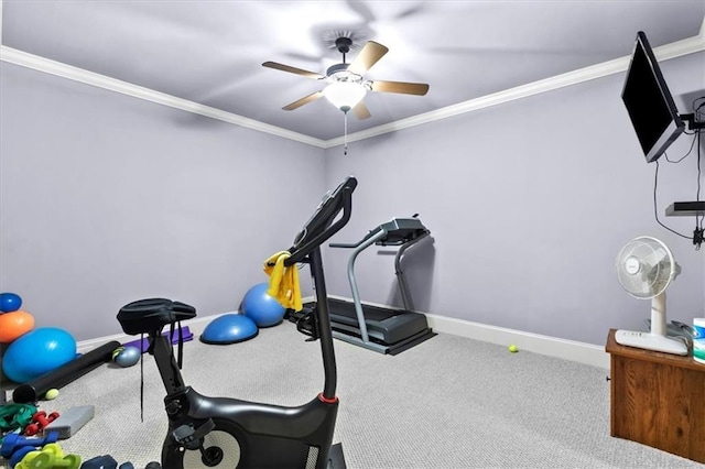 workout room with carpet, ceiling fan, and ornamental molding