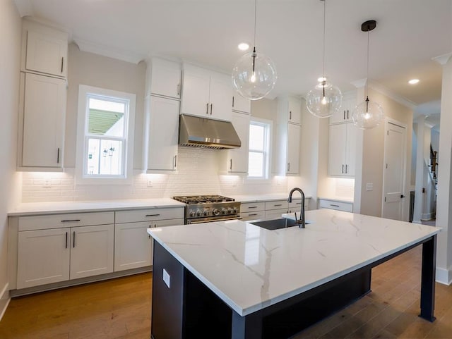 1415 Coretta Bnd, Atlanta, GA 30318 - kitchen with under cabinet range hood, a sink, stainless steel range, wood finished floors, and ornamental molding