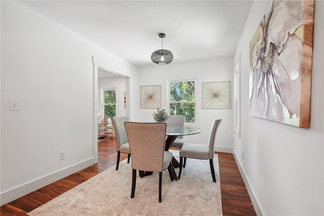 dining room with baseboards and wood finished floors