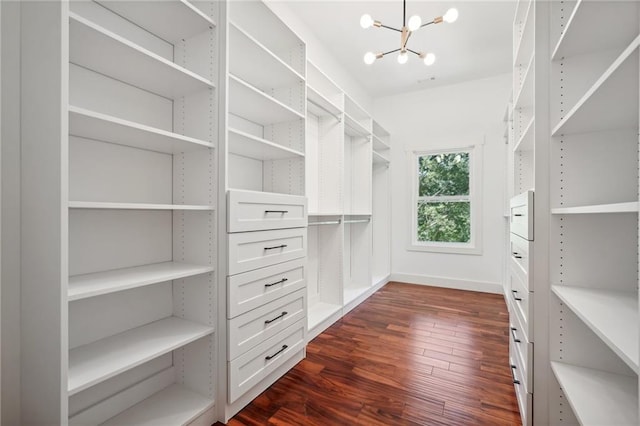 spacious closet featuring dark wood finished floors and a chandelier