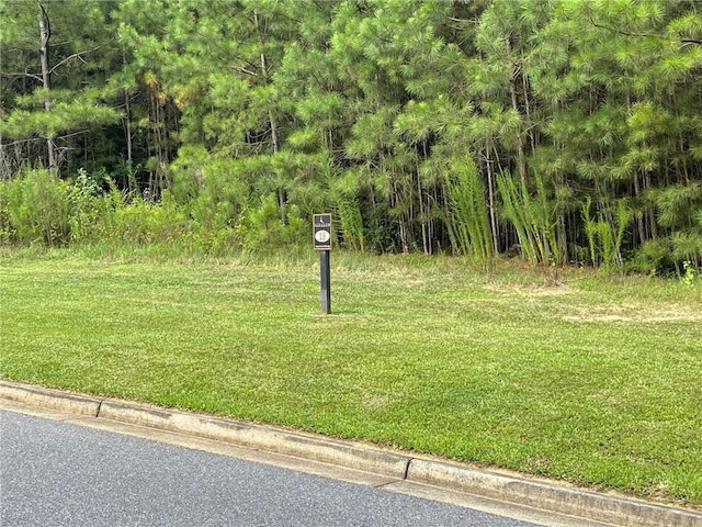 view of home's community featuring a yard