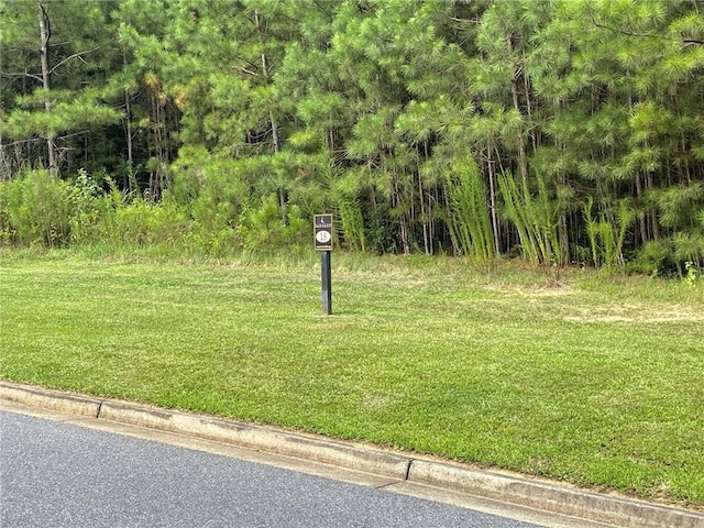 260 Traditions Dr, Alpharetta, GA 30004 - surrounding community featuring a lawn