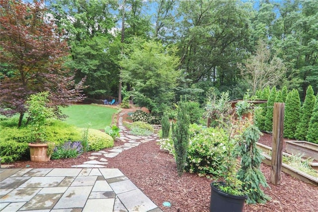 3323 Lancing Ct, Duluth, GA 30096 - view of yard