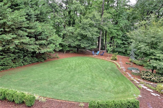 3323 Lancing Ct, Duluth, GA 30096 - view of yard