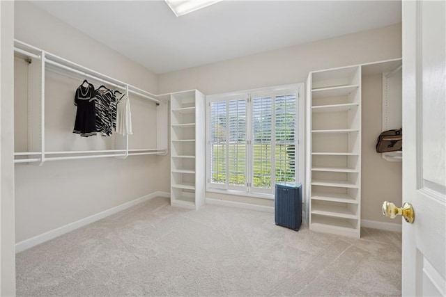 4790 Hyde Rd, Cumming, GA 30040 - spacious closet with carpet flooring