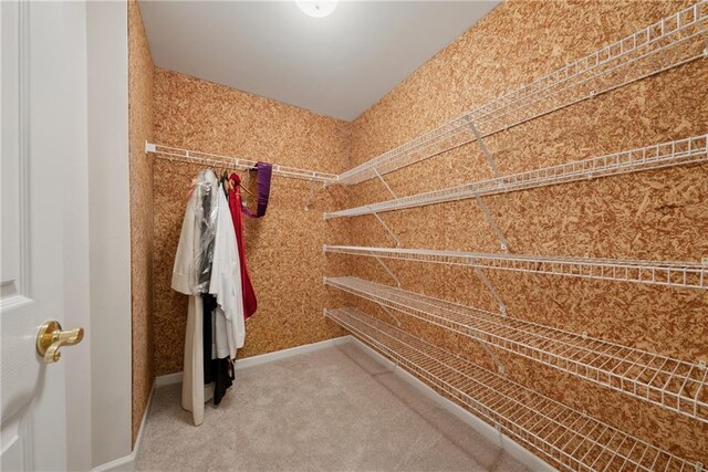 4790 Hyde Rd, Cumming, GA 30040 - spacious closet featuring carpet floors