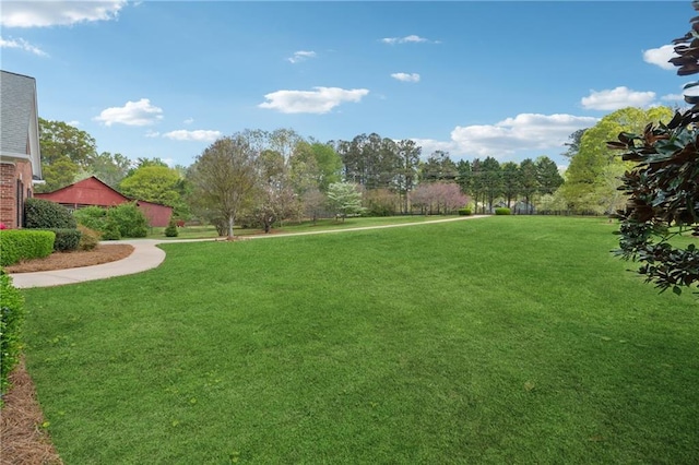 4790 Hyde Rd, Cumming, GA 30040 - view of yard