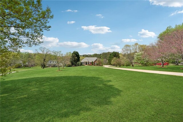 4790 Hyde Rd, Cumming, GA 30040 - view of yard