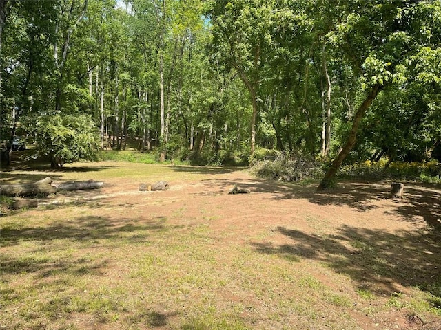 view of local wilderness