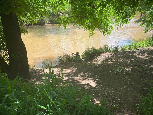 property view of water