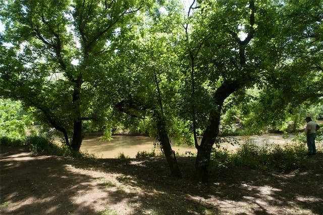 view of local wilderness