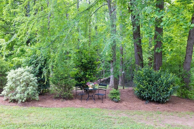 659 Creek Nation Rd, Jefferson, GA 30549 - view of yard featuring a view of trees