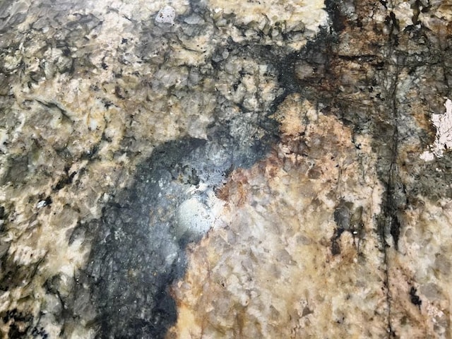 view of details
