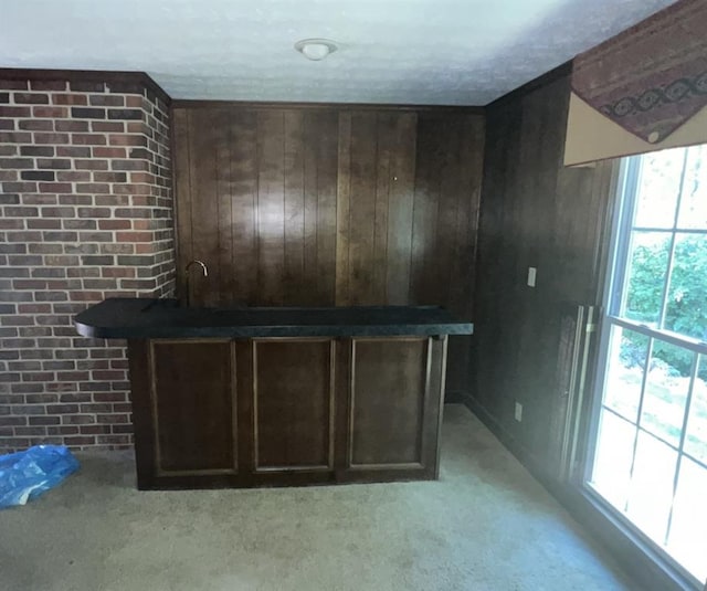 bar with light carpet, dark brown cabinetry, and wooden walls