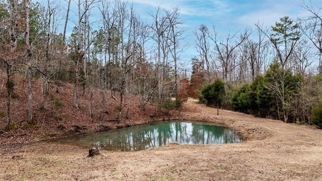 view of pool with a water view