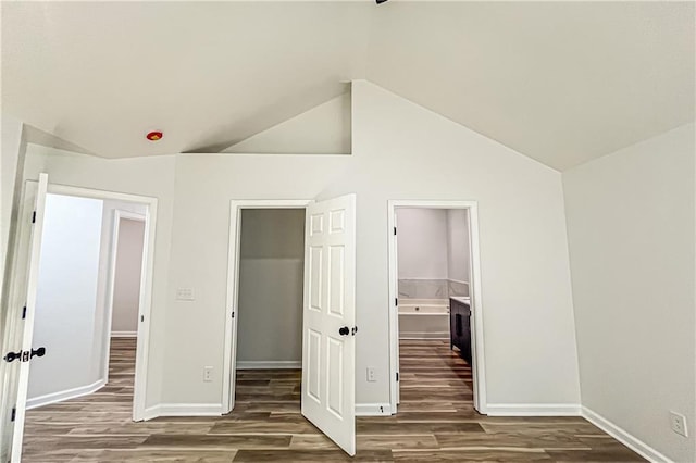 unfurnished bedroom featuring lofted ceiling, a spacious closet, and wood finished floors