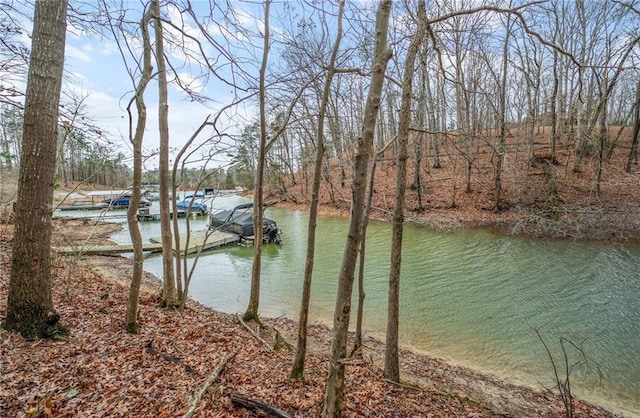 view of water feature featuring a boat dock