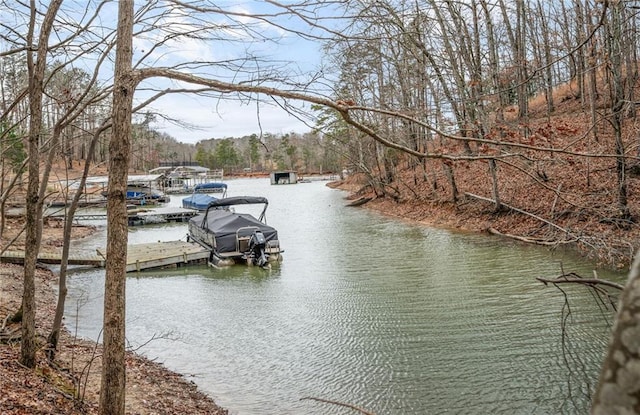 dock area with a water view