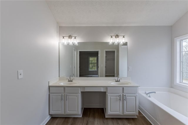 bathroom with double vanity, a sink, a textured ceiling, and wood finished floors