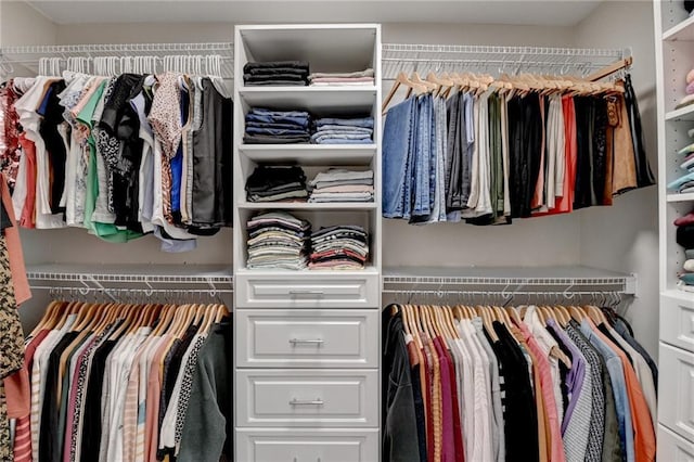 view of spacious closet