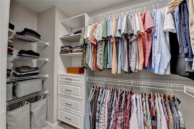 view of spacious closet