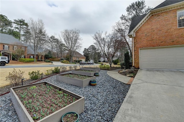 view of yard with a garden and driveway