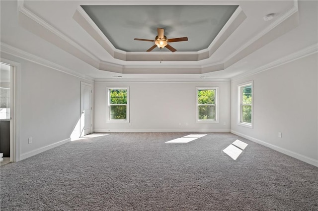 spare room featuring a tray ceiling, ornamental molding, carpet, and a ceiling fan