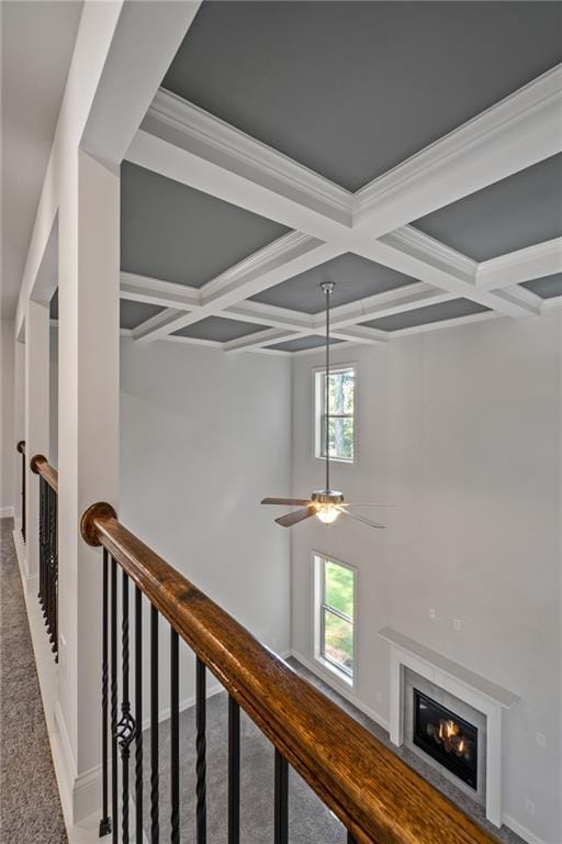 corridor featuring coffered ceiling, carpet flooring, baseboards, and beam ceiling