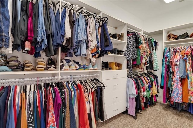 spacious closet featuring carpet flooring