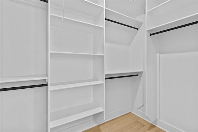 spacious closet featuring wood finished floors