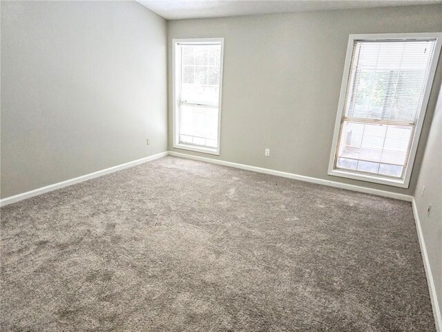 4093 Chapel Mill Bnd, Decatur, GA 30034 - spare room featuring baseboards, carpet flooring, and plenty of natural light