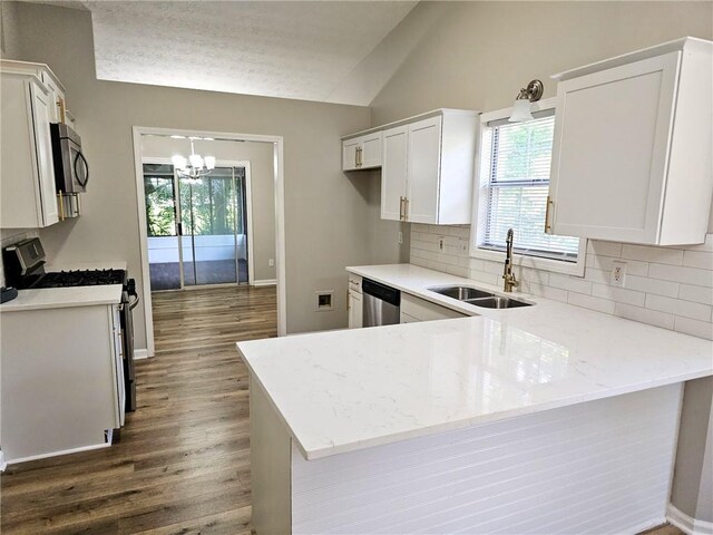 4093 Chapel Mill Bnd, Decatur, GA 30034 - kitchen featuring vaulted ceiling, stainless steel appliances, backsplash, a sink, and a peninsula