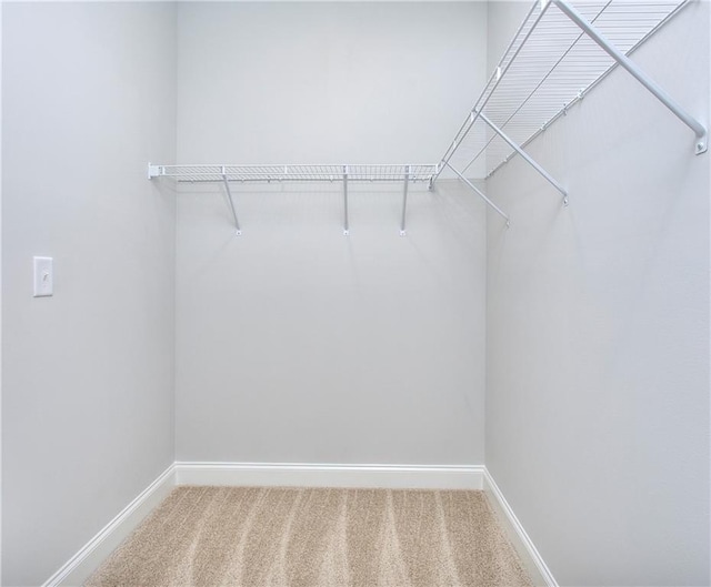 135 Applewood Way, Homer, GA 30547 - walk in closet featuring carpet flooring