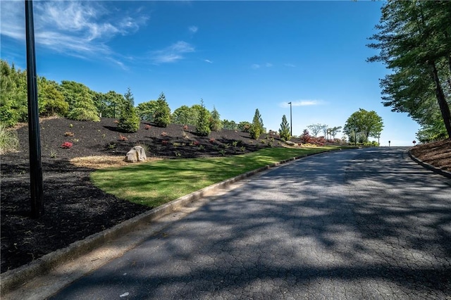 31 Country Place Ct, Alpharetta, GA 30005 - view of asphalt street with curbs