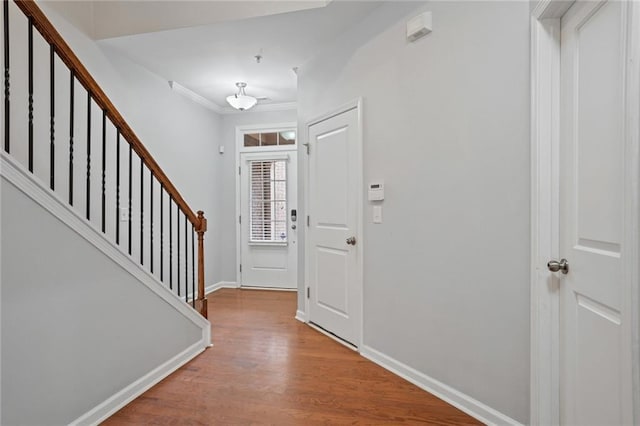 foyer entrance featuring wood-type flooring and crown molding