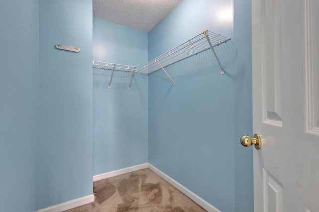 spacious closet featuring carpet floors