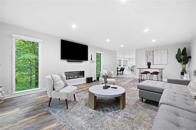 living room featuring hardwood / wood-style floors