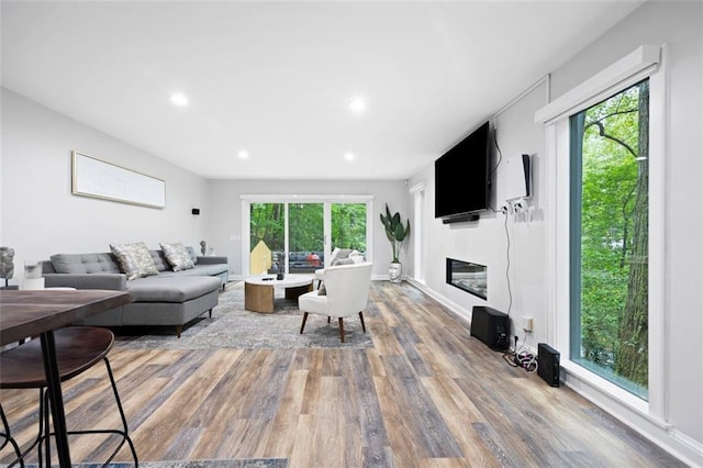 living room with hardwood / wood-style flooring and plenty of natural light